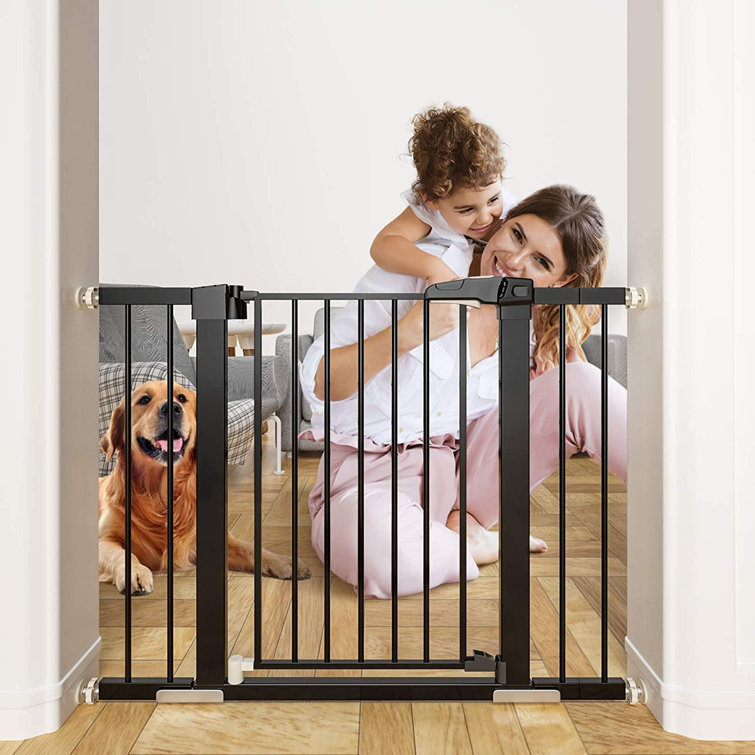 pet gate with door