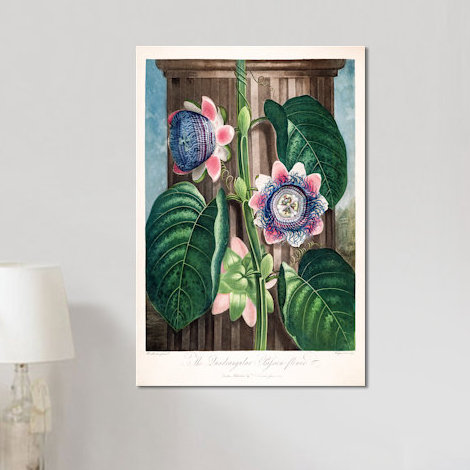 East Urban Home Thornton S Temple Of Flora Series The
