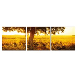 Africa Sunrise 3 Piece Photography Print Set