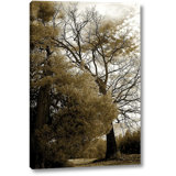 Wall Art Winter Scenes Wayfair