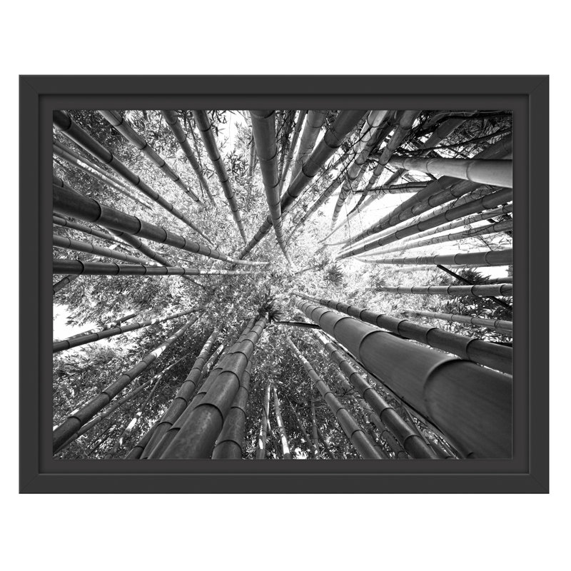 East Urban Home Green Bamboo Framed Art Print In Black And White