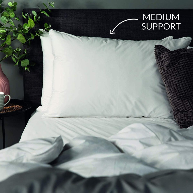 snuggledown clusterdown pillows