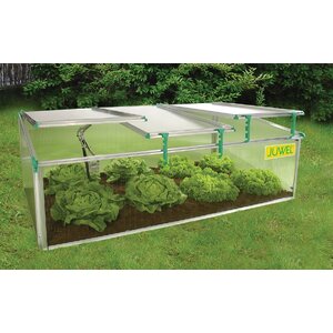 BioStar 2.6 Ft. W x 4.92 Ft. D Cold-Frame Greenhouse