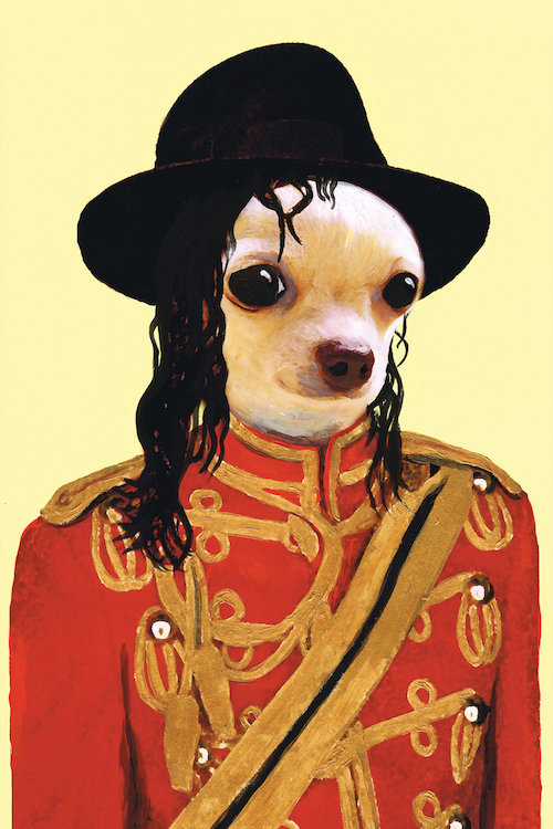 mini pinscher mixed with dachshund