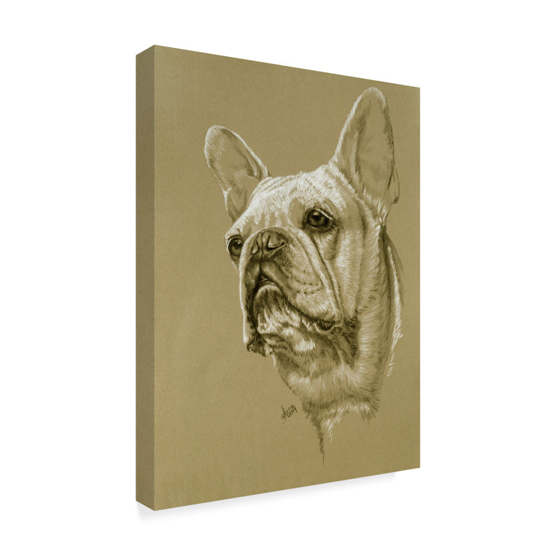 Trademark Art French Bulldog Oil Painting Print On Wrapped Canvas Wayfair