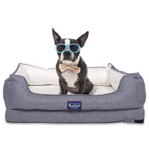 vibration bark control collar