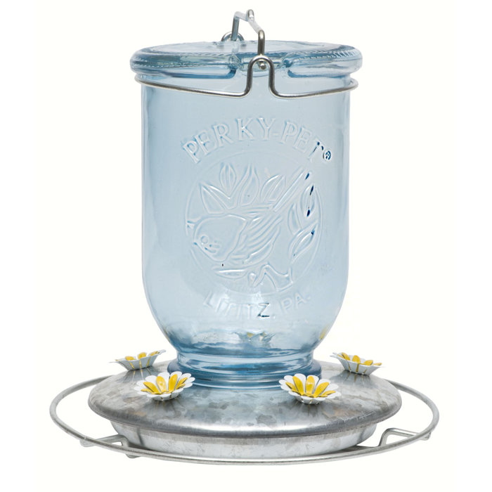 Perky Pet Antique Glass Hummingbird Feeder Wayfair
