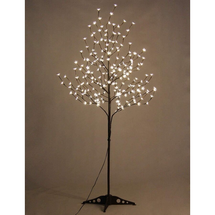 208 Light Lighted Trees & Branches