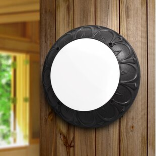 Aunchman 1 Light Outdoor Flush Mount By Sol 72 Outdoor