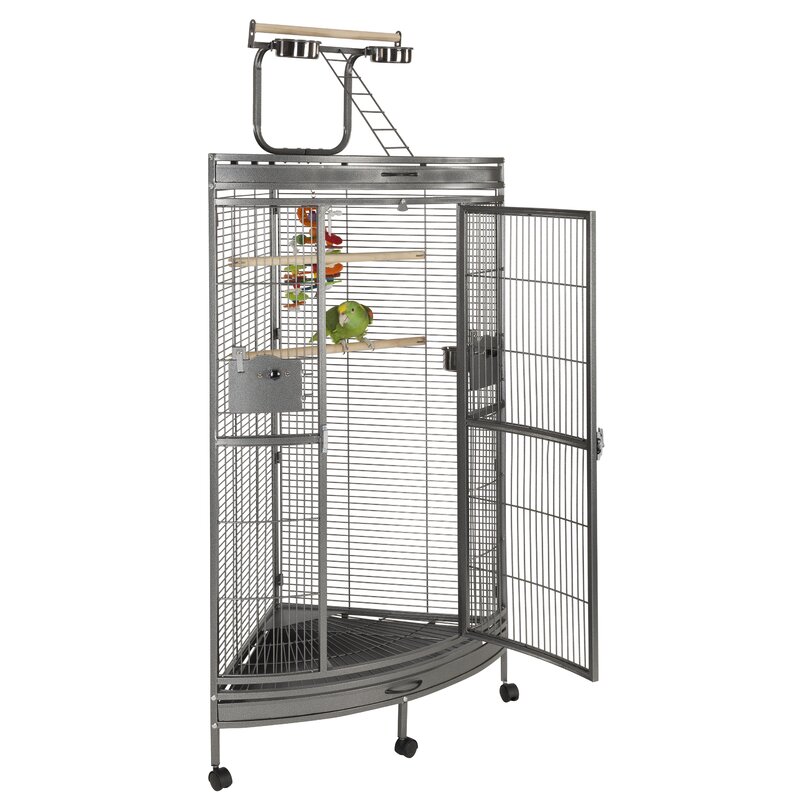 modern parrot cage