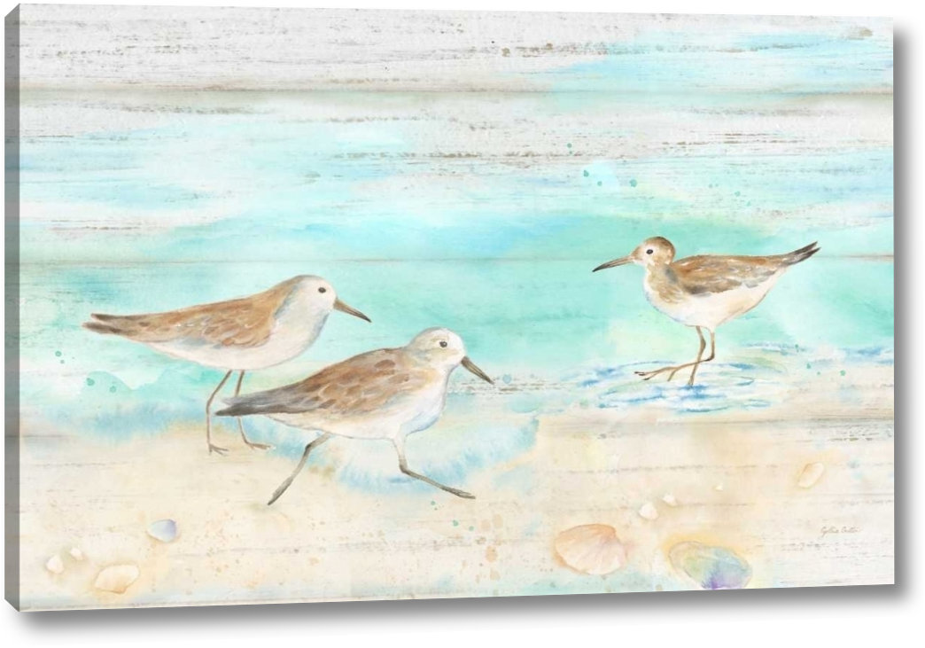 Highland Dunes Sandpiper Beach Landscape Graphic Art Print On Wrapped Canvas Wayfair