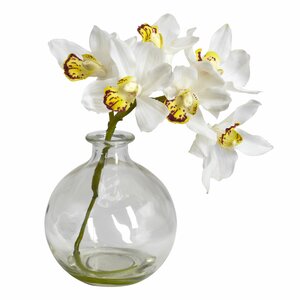 Cymbidium in Vase (Set of 3)