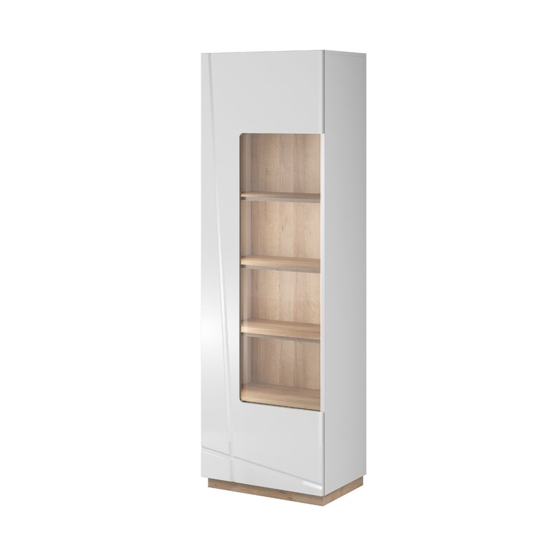 Ebern Designs Hiram Curio Cabinet With Lighting Wayfair Co Uk