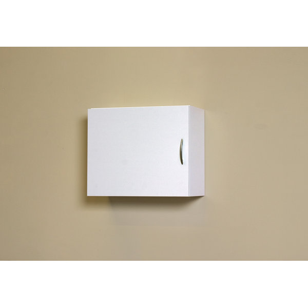 20 H X 24 W X 12 D Flat Panel Single Door Wall Cabinet