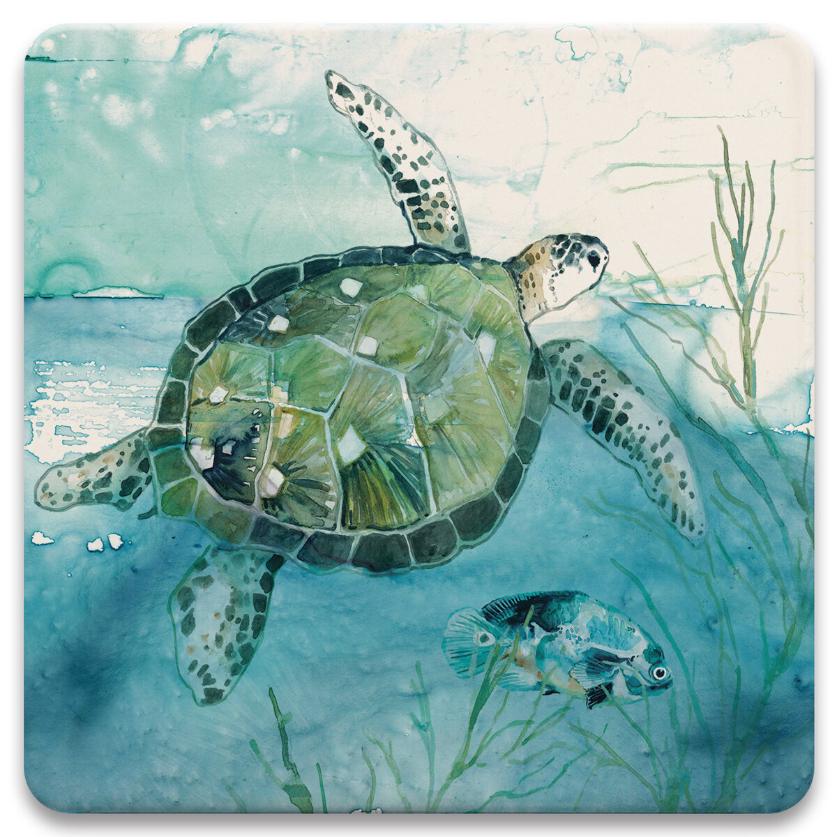 Bay Isle Home Coastal Sea Turtle Trivet | Wayfair