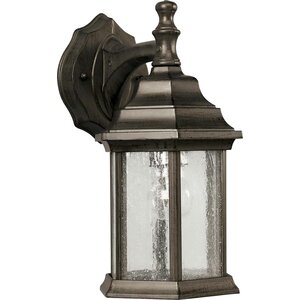 Stewart 1-Light Outdoor Wall Lantern