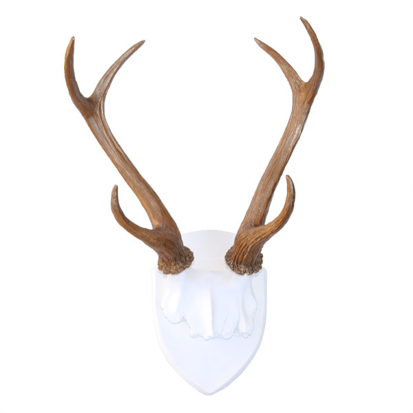 Faux Deer Antlers Wayfair