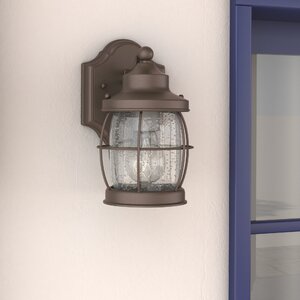 Treasa 1-Light Outdoor Wall Lantern