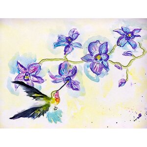 Hummingbird and Clematis Doormat