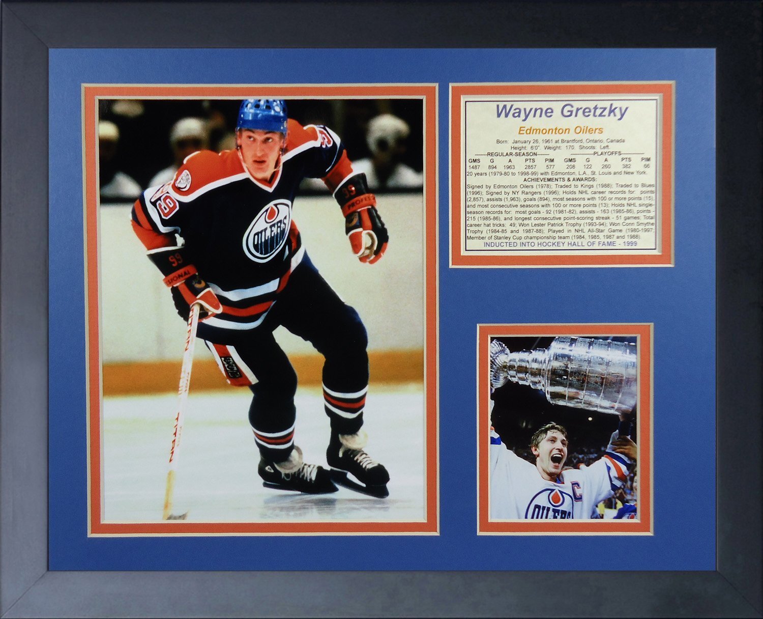 Wayne Gretzky Inc. New York Rangers 16 x 20 Framed Photo Collage by Legends Never Die