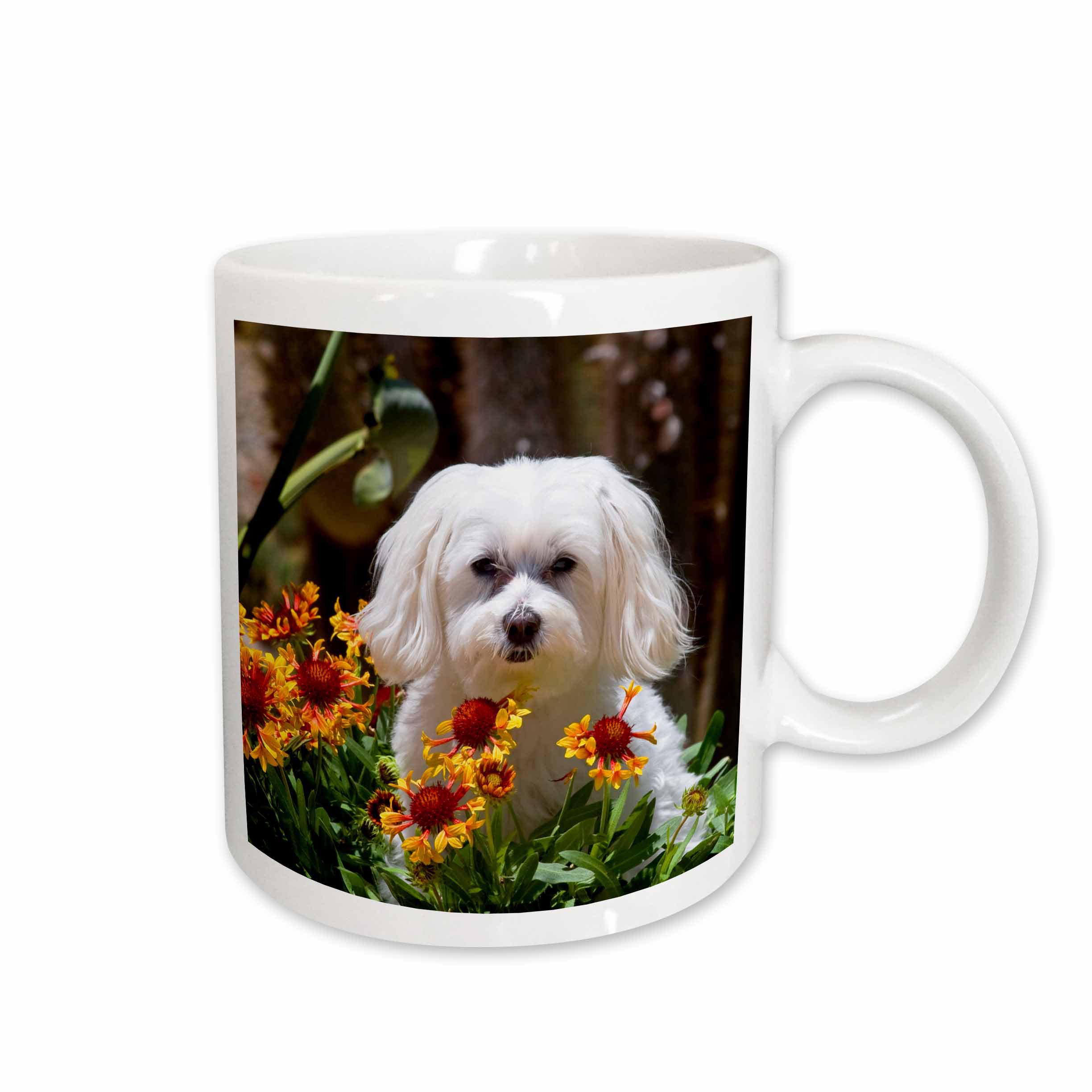 maltese mug
