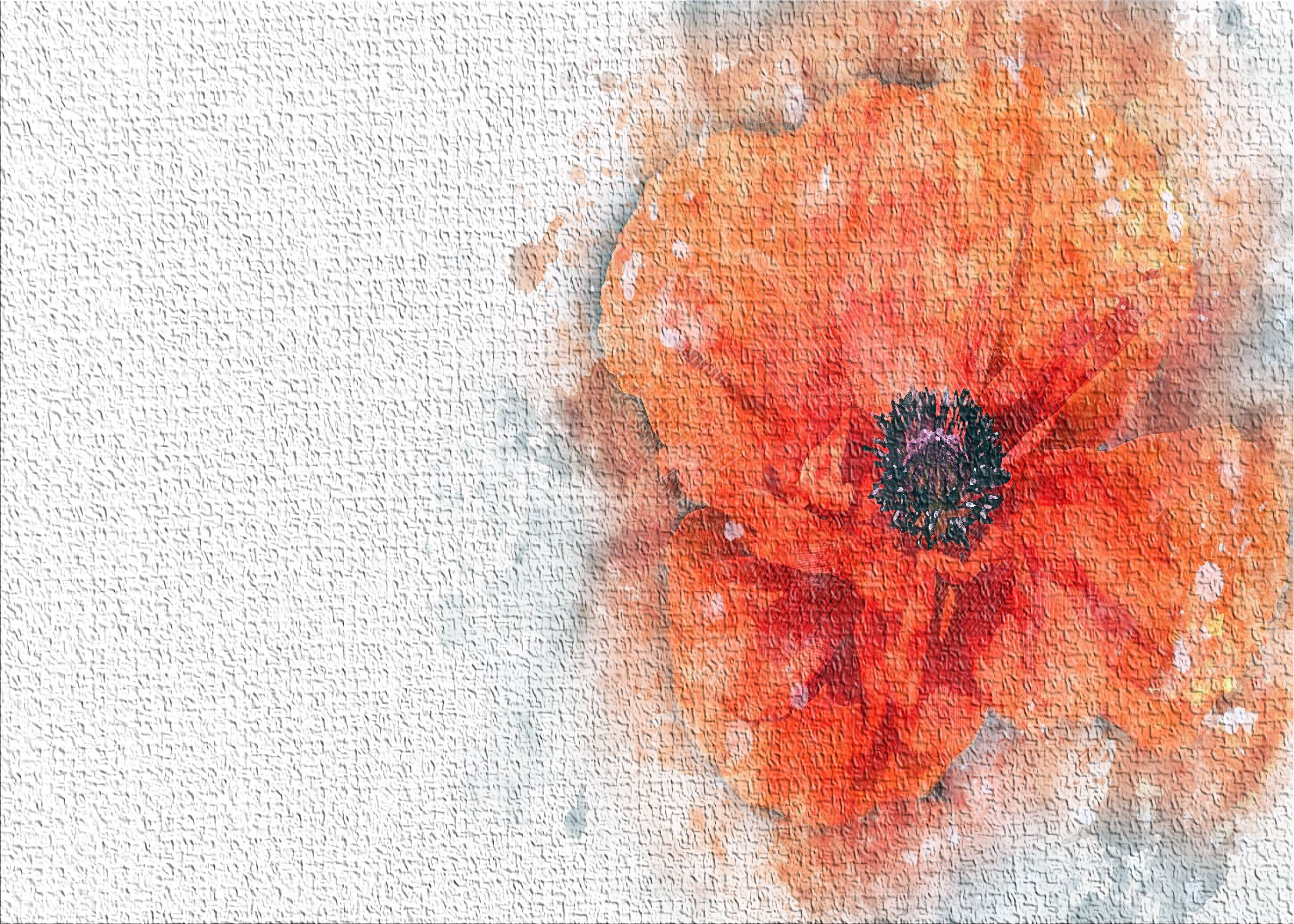 East Urban Home Poppy Orange Area Rug Wayfair