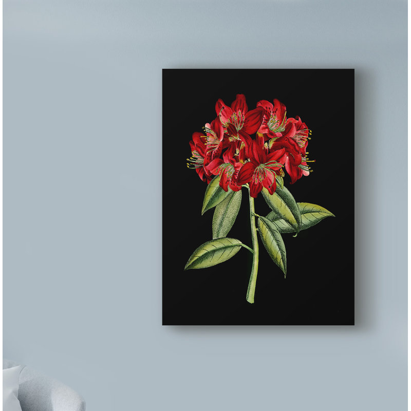 August Grove Crimson Flowers On Black Ii Acrylic Painting Print