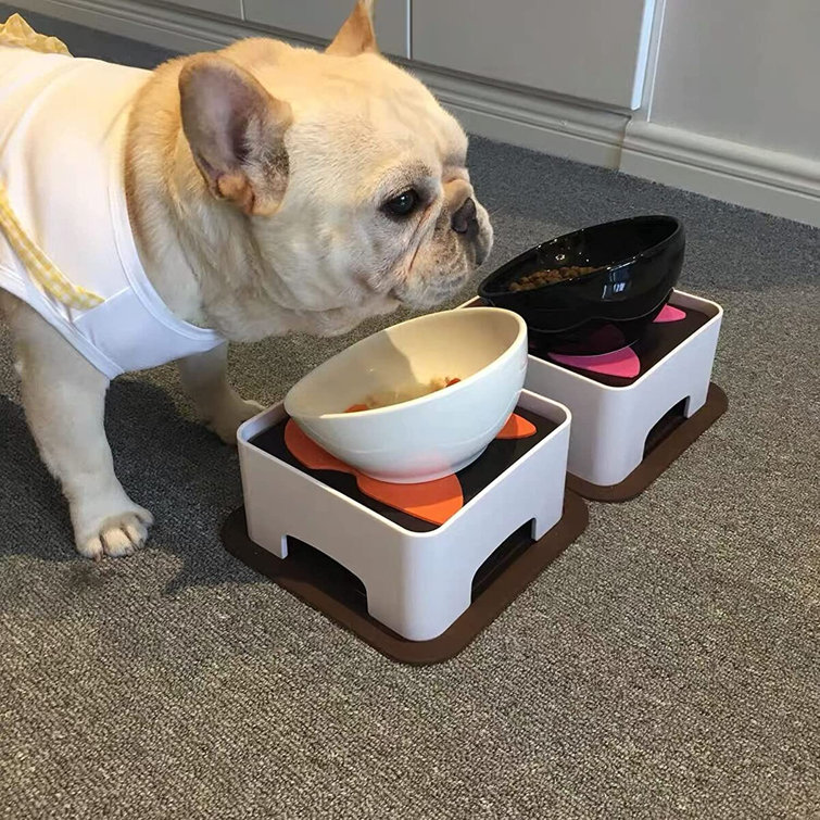 elevated dog feeding tray