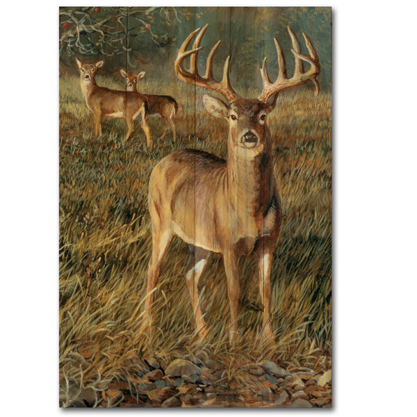 Wgi Gallery First Light Buck By Persis Clayton Weirs Painting Print Plaque Wayfair