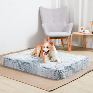 wayfair large dog beds