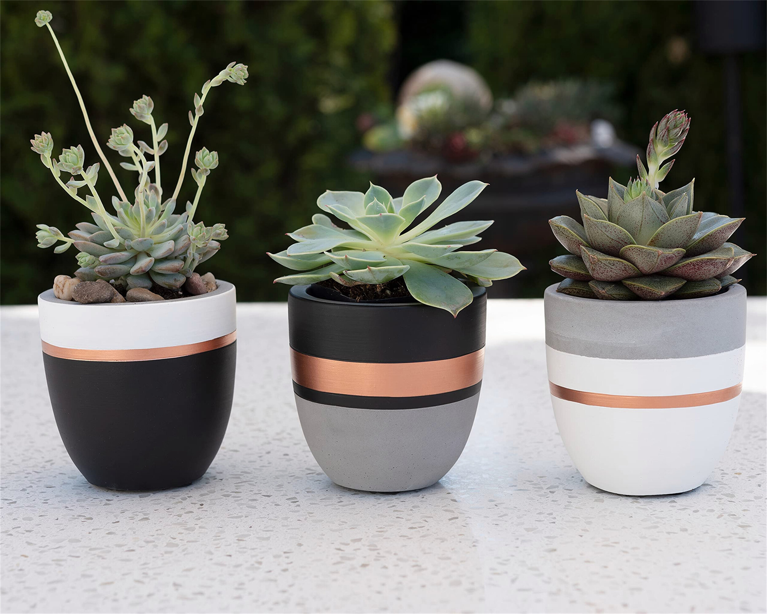 Concrete Planter Walk to House FREE SHIPPING in USA 