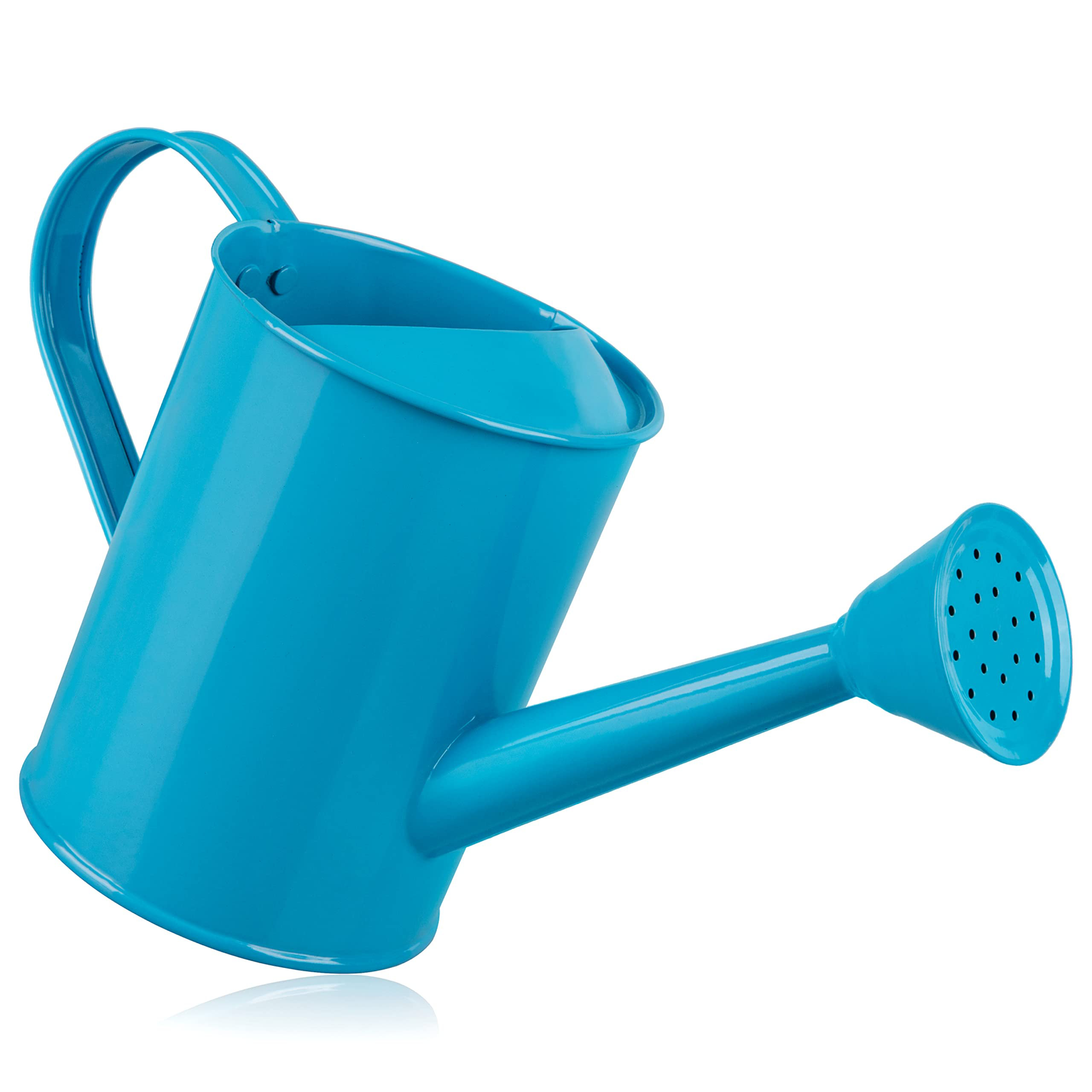Homarden Small Watering Can Wayfair
