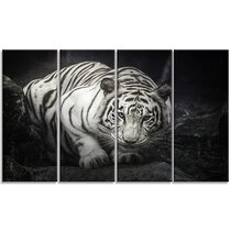Leinwandbild Canvas Print Wandbild Weißer Tiger am Wasserfall Nr 2127