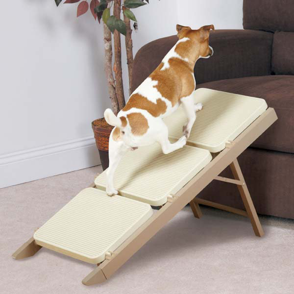 pet ramp