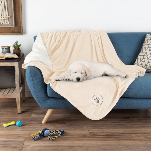 Cold Movie Theater or Traveling Sofa Cute Little Dog Sofa Blanket is Suitable for Bed Camping A for Your Family and Friends .