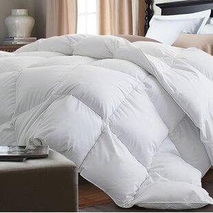 Single Piece White Twin Bedding You Ll Love In 2020 Wayfair