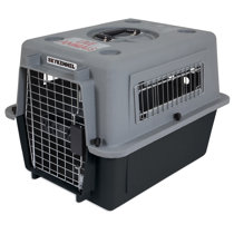 hard plastic pet carrier