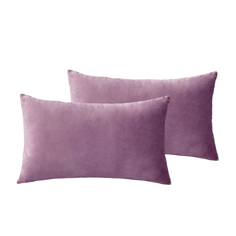 2 Pack Velvet Soft Soild Decorative Square Throw Pillow Covers Set Cushion Case 