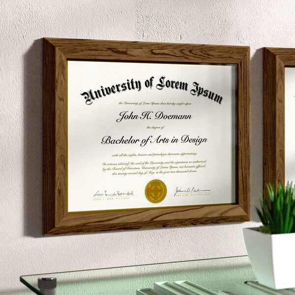 Symple Stuff Document and Award Picture Frame & Reviews | Wayfair.ca