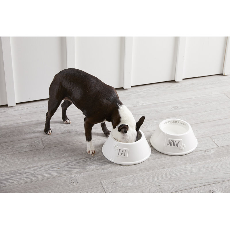 what to feed your dog for constipation