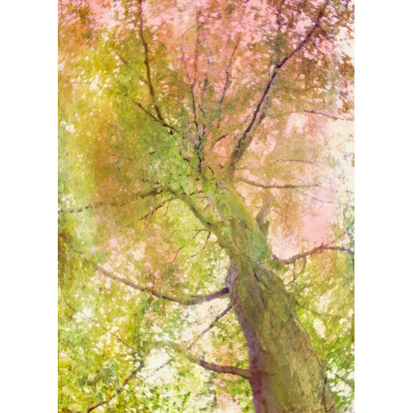 Hadleyhouseco Way Up By Hal Halli Photographic Print On Wrapped Canvas Wayfair
