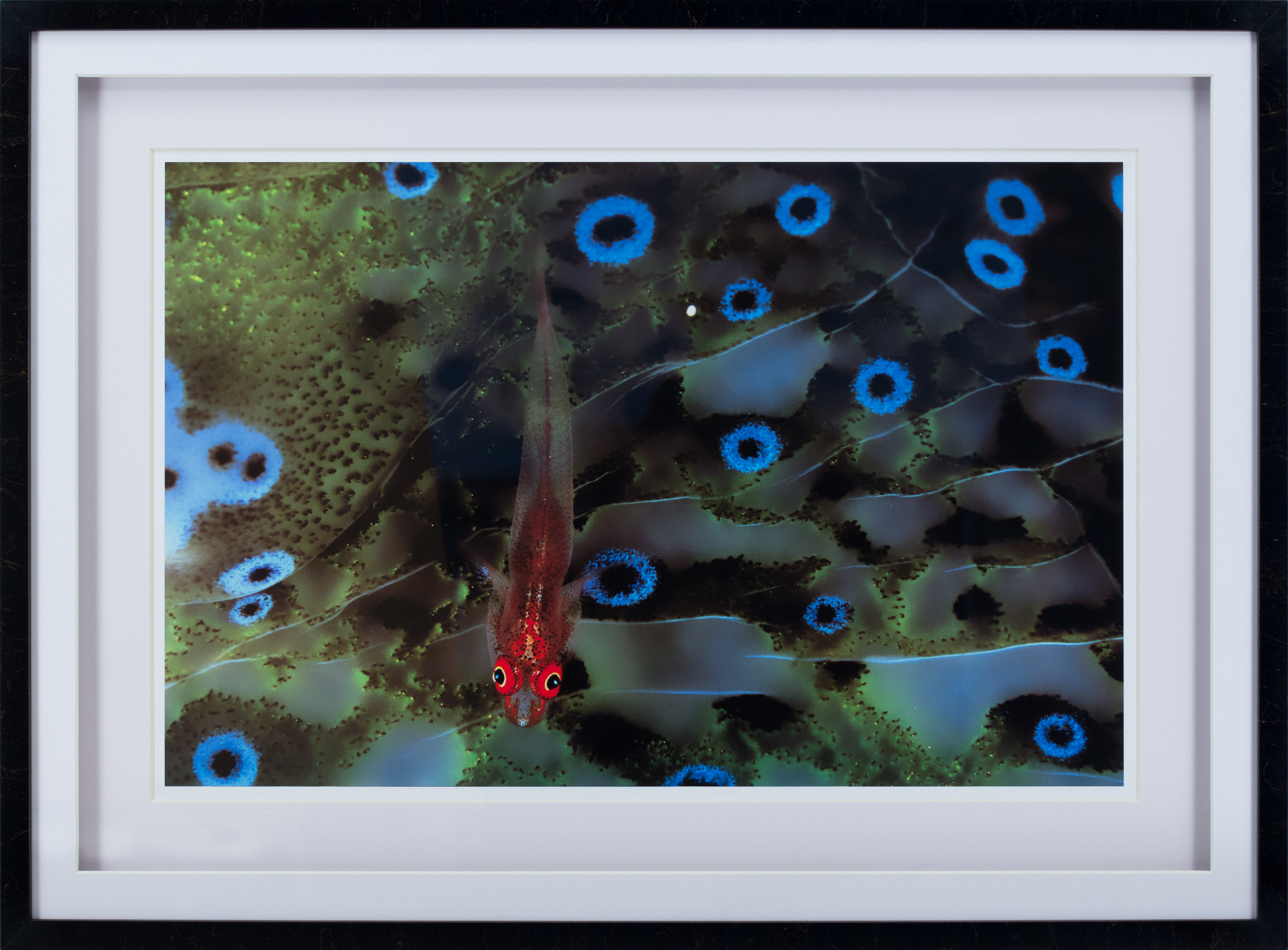 Statements by J Dotti Picture Frame Graphic Art Wayfair