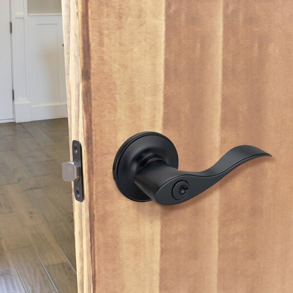 Chrome Fresh Straight Door Handles Lever on Round Rose Silver Door Knobs D29