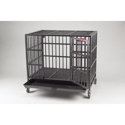 proselect empire pet crates