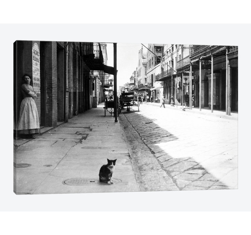 East Urban Home Early 1900s Cat Sitting On Street Older Section