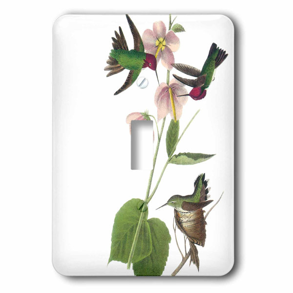 3drose Hummingbirds With Flowers 1 Gang Toggle Light Switch Wall Plate