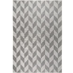 9 X 12 Chevron Area Rugs You Ll Love In 2021 Wayfair