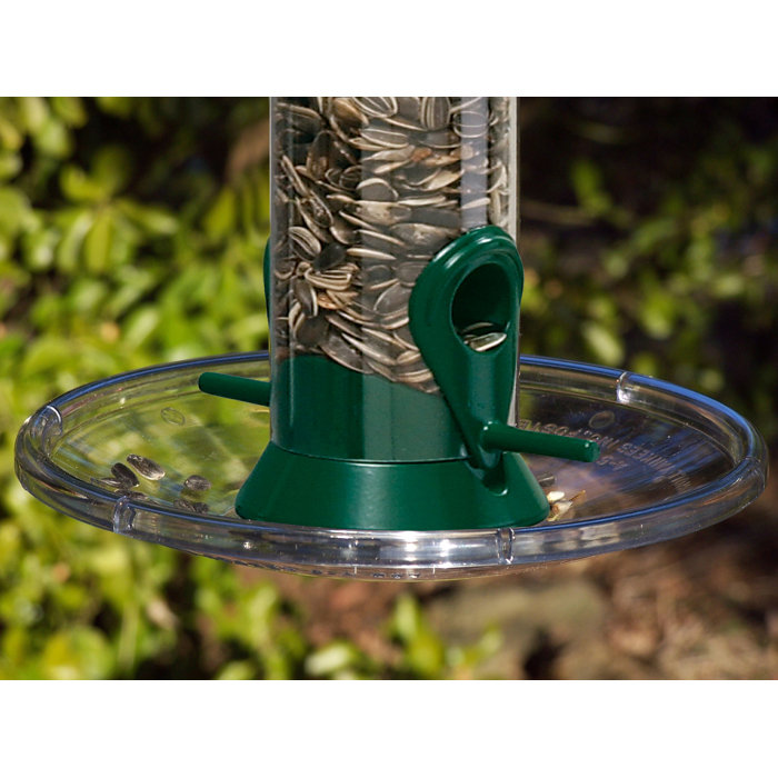 Droll Yankees Seed Tray Bird Feeder Wayfair