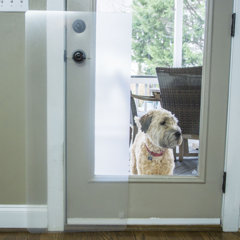 CLEAR PLASTIC DOG DOOR   DOOR STRIP     6" WIDE x 2 ft x 60mil 