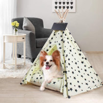 big dog teepee